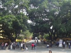 -桂林独秀峰王城景区