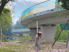 -白鹭湾湿地公园