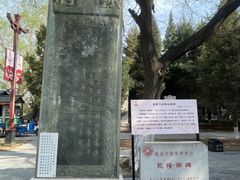 -赵州桥景区
