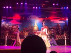 -金东尼人妖秀