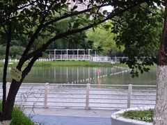 -楚秀园