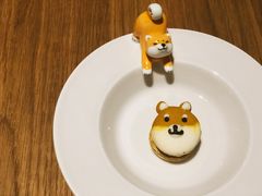 -柴务处·柴犬主题狗咖