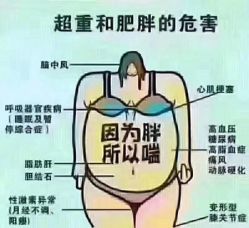 -香薇妮丝女子减肥院