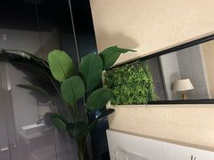-新紫霞养生·影院足道·SPA(金山区店)
