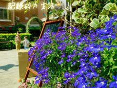 -转山咖啡(松柏社区店)