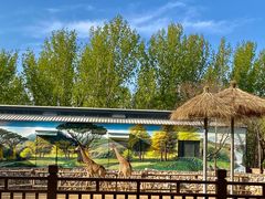 -北京野生动物园