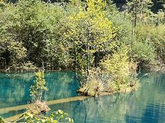 -九寨沟-树正沟