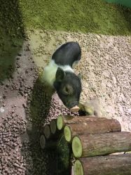 -酷嗒动物文化乐园(cutezoo西溪乐天城店)