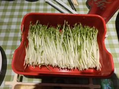 -番食园鲜食火锅(高新店)