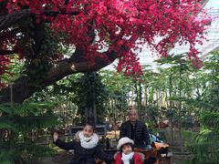 -天源吉布世温泉水乐园