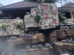 -万象温泉景区
