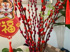 -中环花鸟鱼虫市场