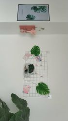 -克拉女神写真馆·匠心定制