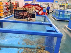 -麦德龙(浦东店)