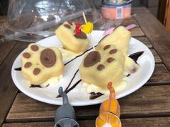-喵屿·大理花园猫咖
