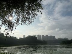-丁香湖公园