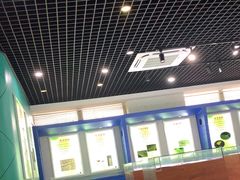 -上海昆虫博物馆