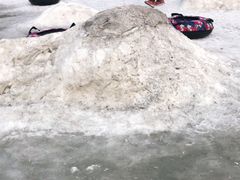 -沈阳奥体冰雪嘉年华