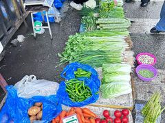 -桂林市花鸟市场