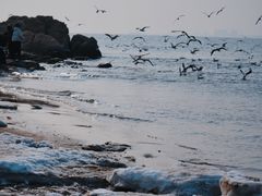 -老虎石海上公园