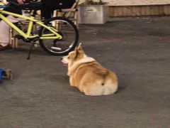 -肥朵食堂(带梦胡同店)