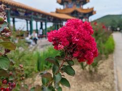 -北京十三陵国家森林公园蟒山景区