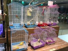 -龟与熊猫宠物公园(南坪店)
