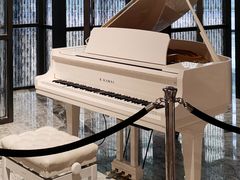 -中山保利艾美酒店-乐美中餐厅