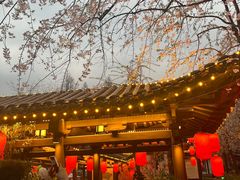 -东湖磨山景区樱花园-停车场