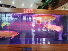 -洪忠涮烤王(嵩山路店)