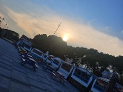 -碧海金沙