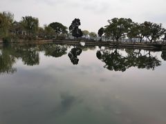 -无锡蠡湖国家湿地公园-蠡园