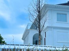 -龙坞茶村