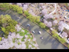 -自然谷恐龙园