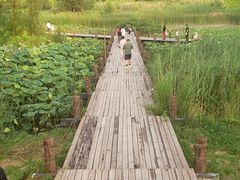 -马家湾湿地公园