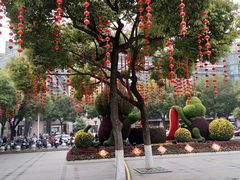 -常州古运河南大街文化旅游区-人民公园