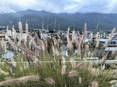 -唐咖精品咖啡(大理古城手冲店)