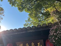 -山外山菜馆(玉泉路店)