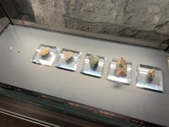 -遵义市博物馆