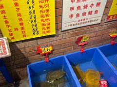 -状元甲·湖北甲鱼大王(汉口火车站店)