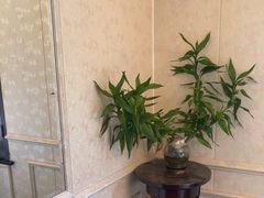 -老洋房花园饭店(绍兴路店)