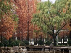 -唐城墙遗址公园