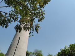 -金海湾滨江公园