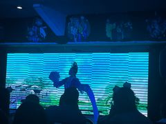 -恺庐茶园(宽窄巷子景区店)