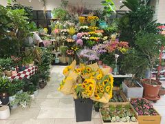 -T11生鲜超市(朝阳公园店)