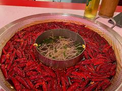 -厂花素芬九宫格火锅(益州大道店)