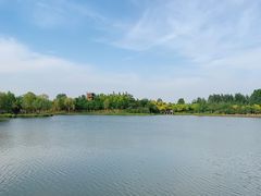 -东郊湿地公园