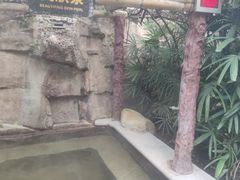 -天赐温泉