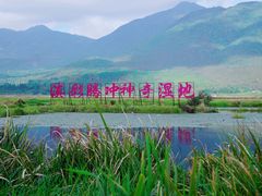 -腾冲北海湿地