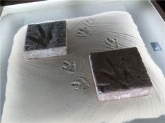 -世界恐龙谷景区